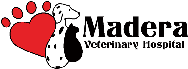 Madera Veterinary Hospital